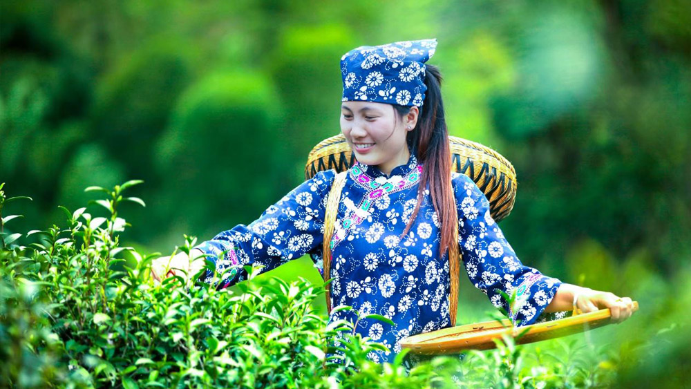 Our Tea Base
